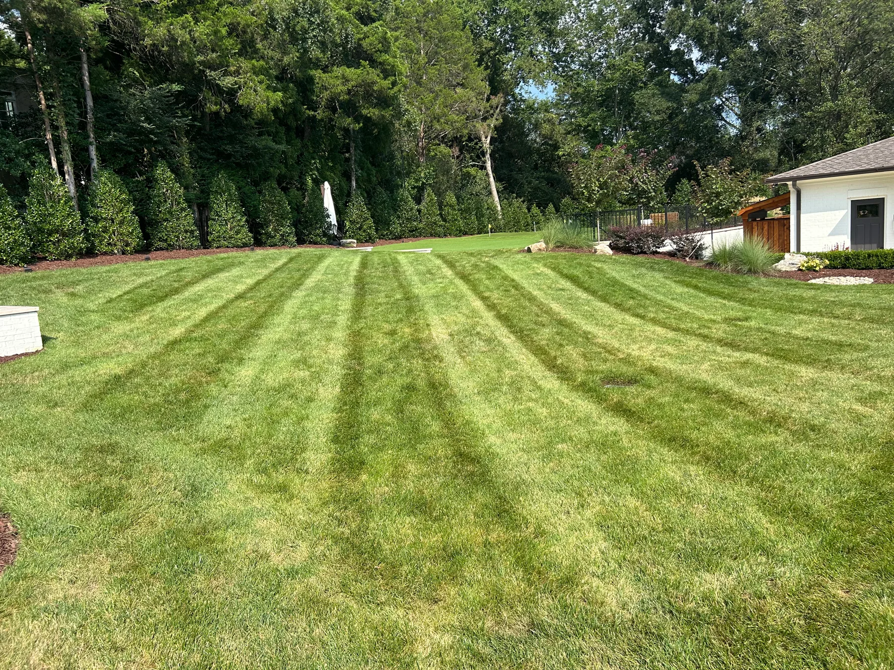 Curved landscape bed with a crisp edge