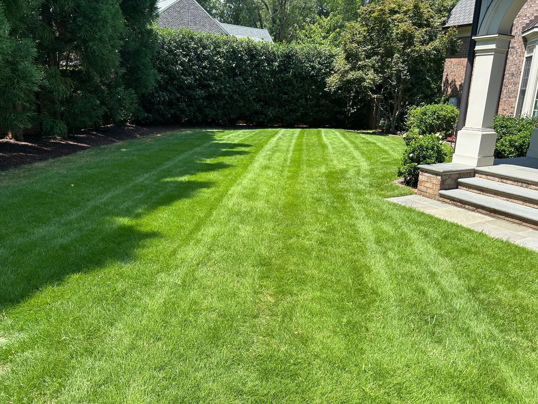Broad estate lawn with a clean professional finish