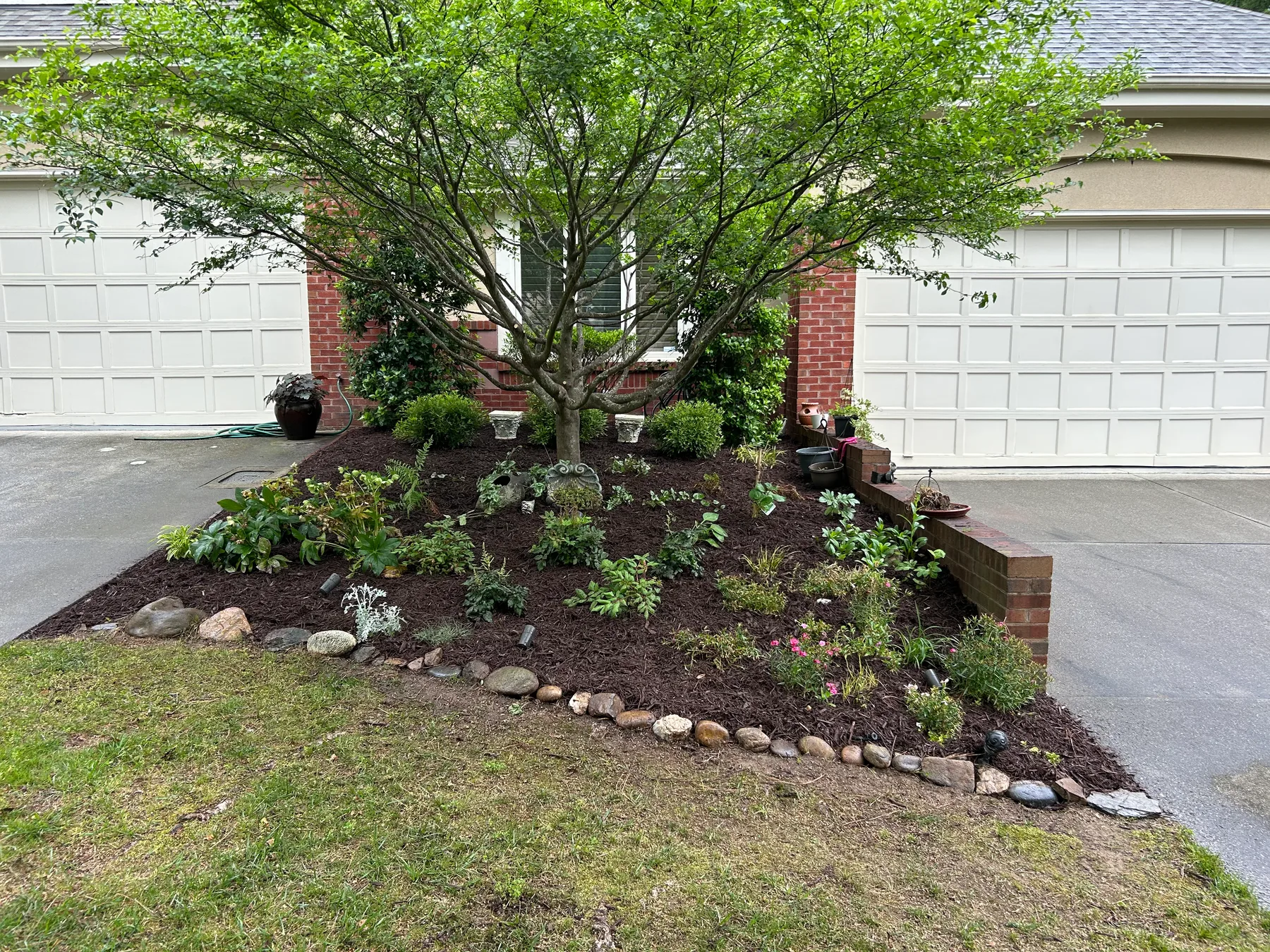 Detailed foundation planting with trimmed shrubs
