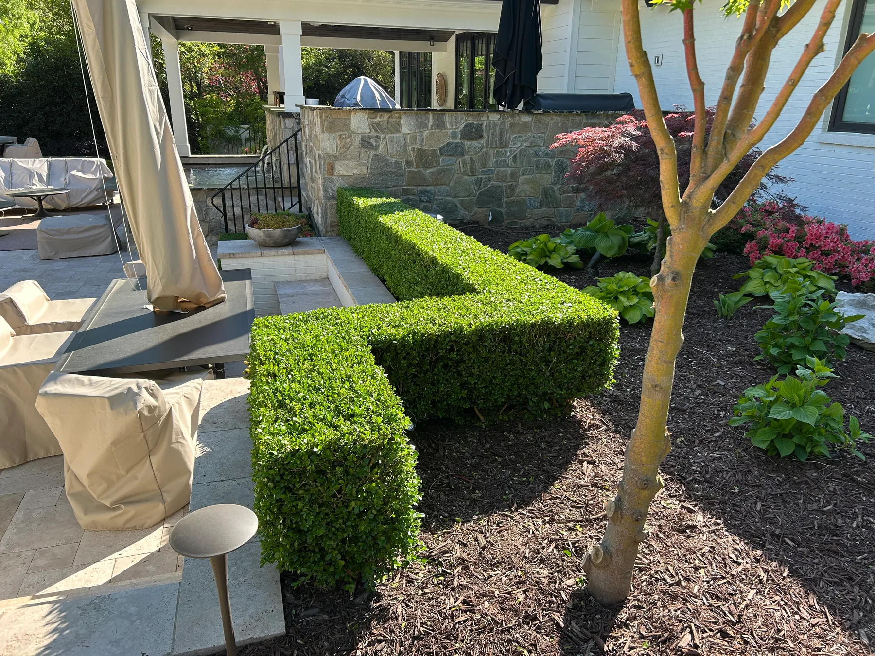 Manicured backyard lawn framed by mature plantings