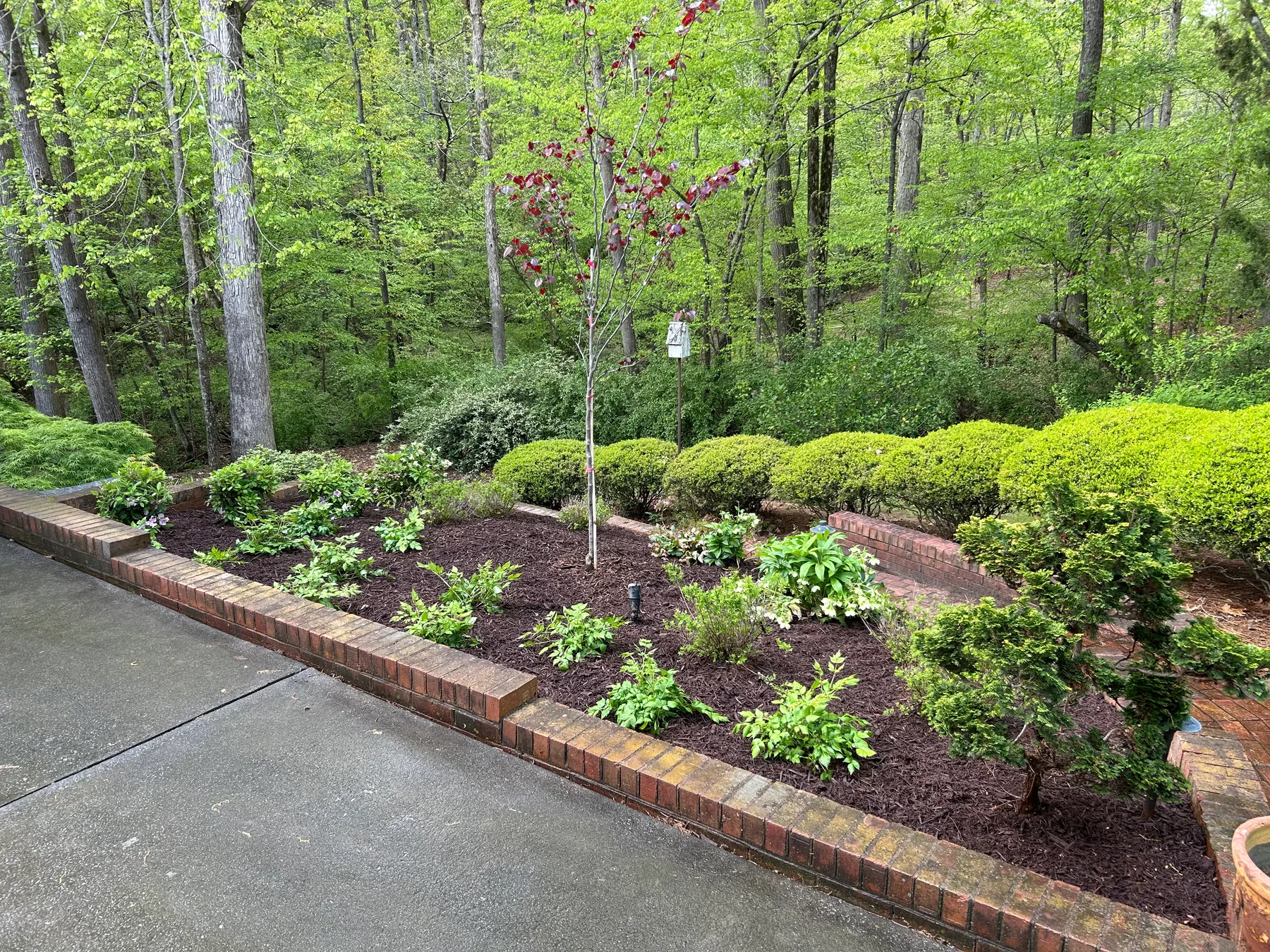 Ornamental garden maintained for year-round character