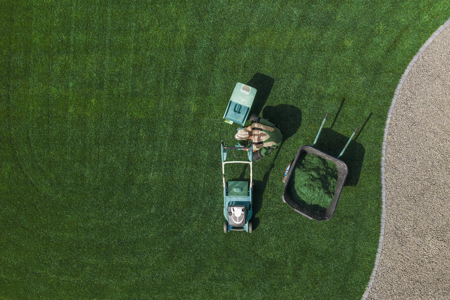 Residential lawn prepared for fall aeration and seeding